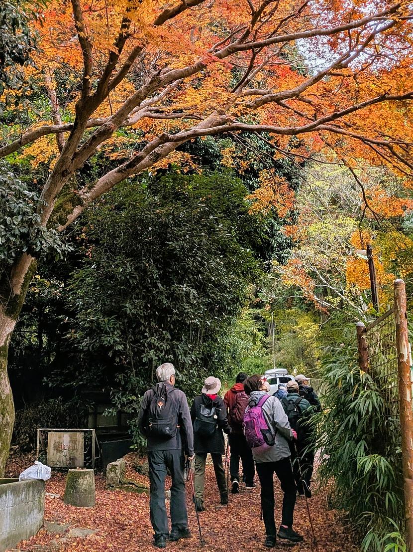 紅葉の中を進みました