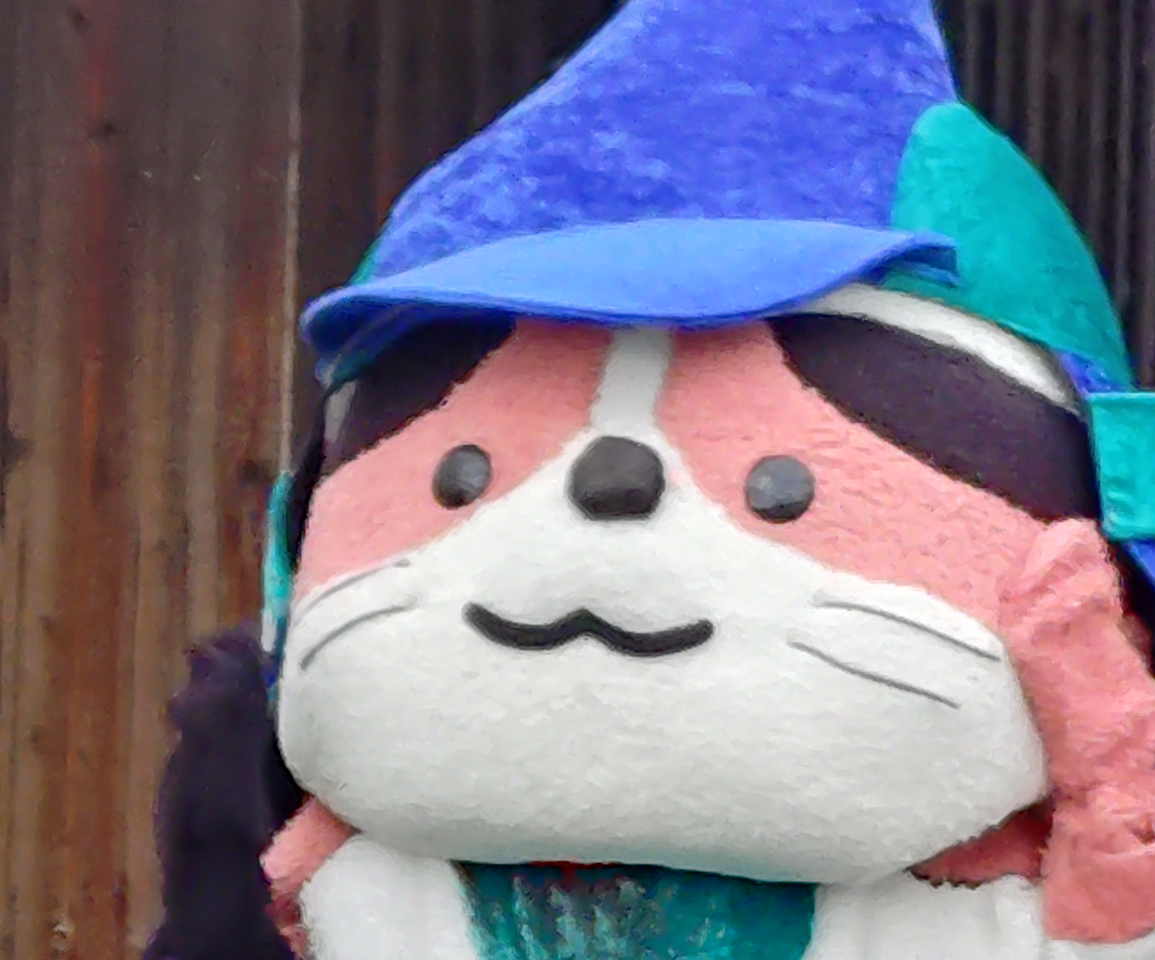 がもにゃんに会えました