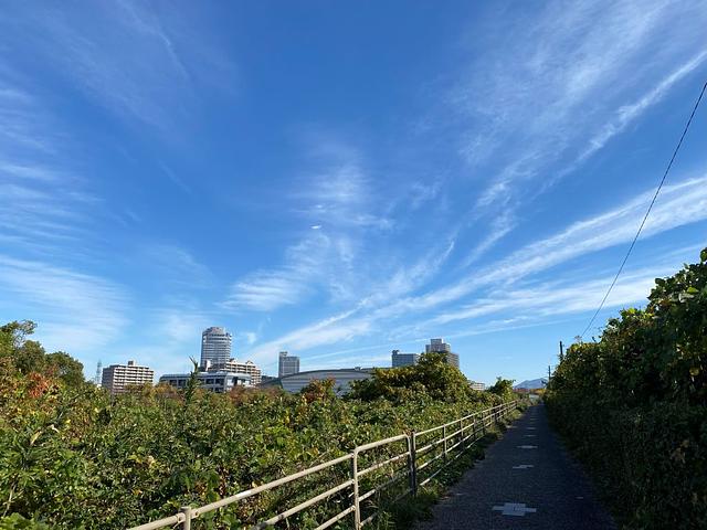 旧草津川を歩いてみた（跡地公園・プール）