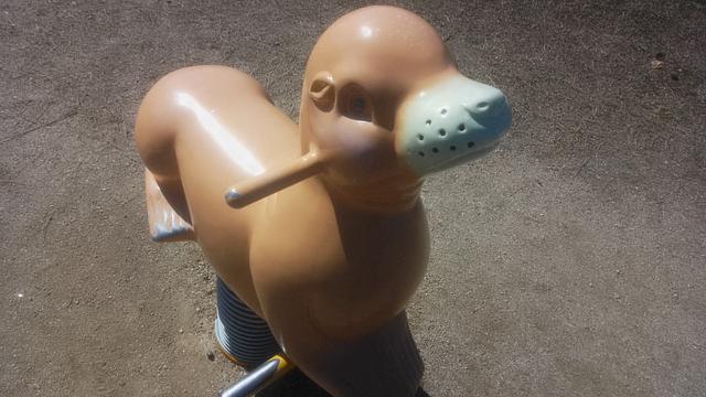 アシカ？オットセイ？