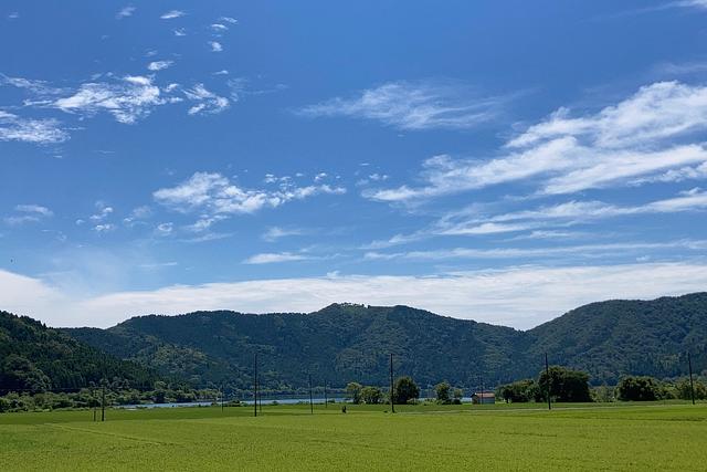 滋賀LD教育研究会（S.E.N.Sの会滋賀支部会）のアバター