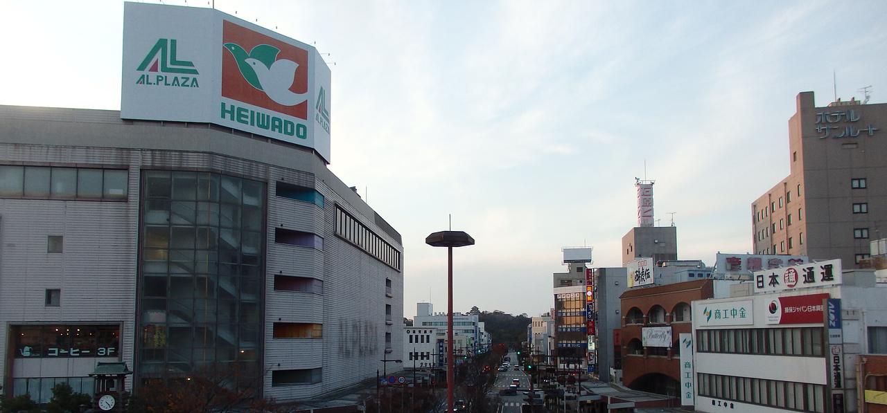 やっぱりアルプラザ