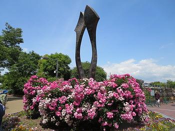 茨木若園バラ園―１