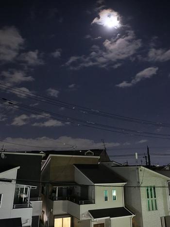 ビーバームーン