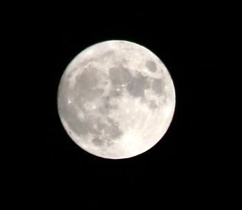 ハンターズムーン