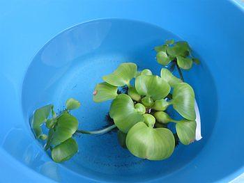 宇宙ステーション