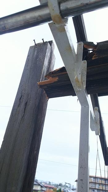 台風２１号の爪痕