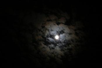 今年の中秋の名月