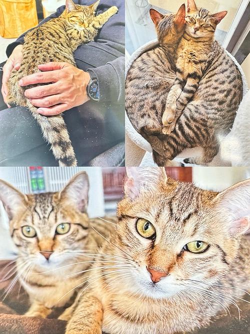 うちの子自慢！お便り