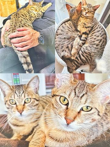 うちの子自慢！お便り