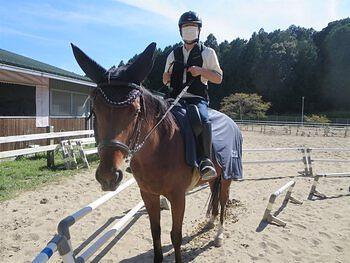 倶楽部クレイン体験乗馬