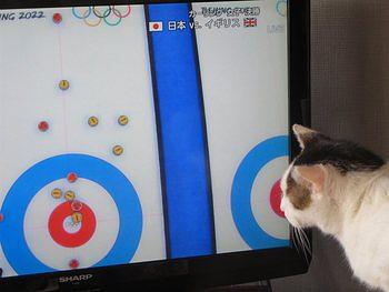 オリンピック大好き