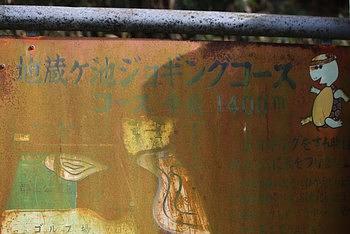 地蔵池ジョギングコース