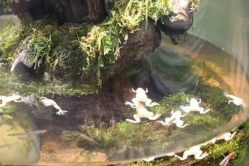 エキスポシティ（ニフレル）その３