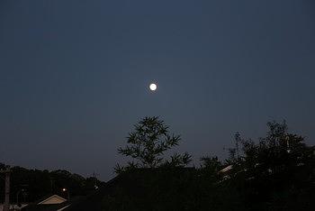 中秋の名月