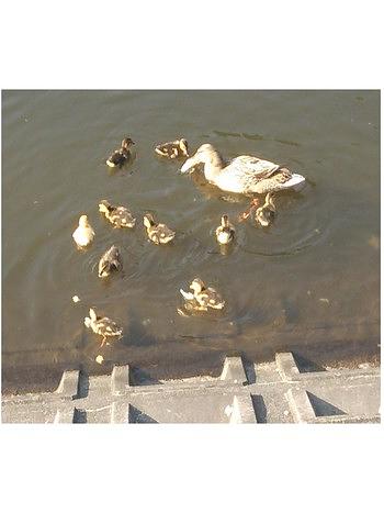 無事で良かった