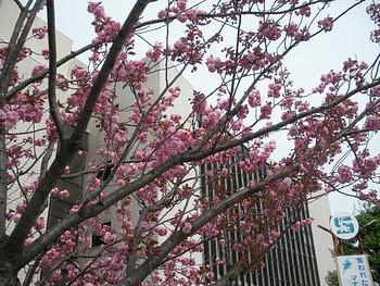 ありがとう滋賀会館