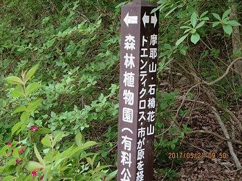 石楠花山を目指して（その２）