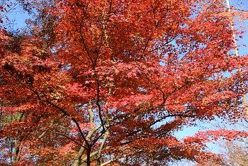 永観堂（その１）