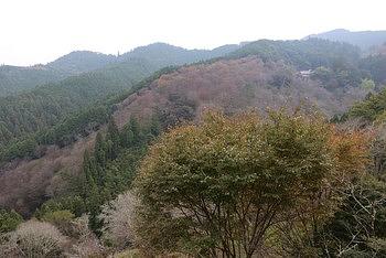 吉野山