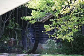 万博公園（その５）