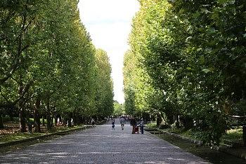 万博公園（その３）