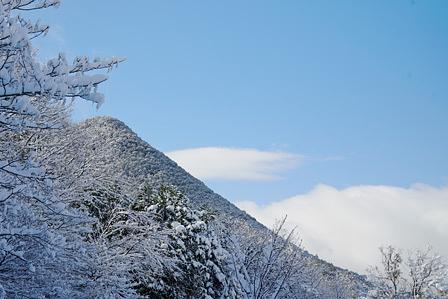 伸びやかな斜面をみせる三上山