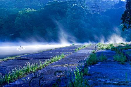 家棟川上流の川霧