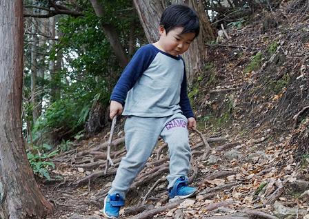幼児小枝ストックで三上山