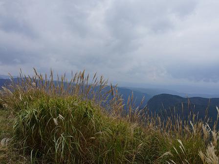ススキが揺れる尼ヶ岳