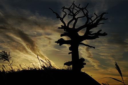 野洲の最果ての地