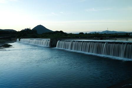 野洲川落差工が黄金色