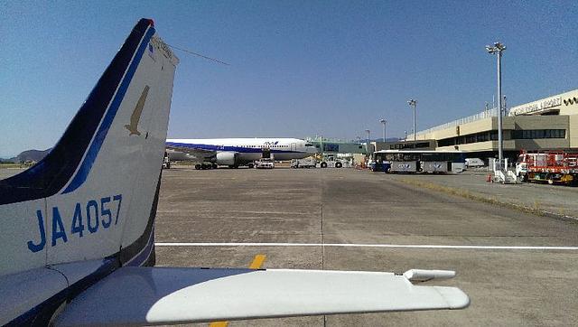 高知　ウツボ　鰹たたき　31 竹林寺　牧野植物園　