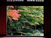 秋の湖東三山を回遊