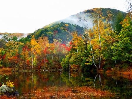 紅葉の乗鞍高原にて