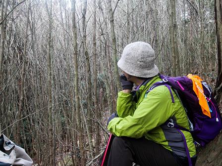 リョウブ林の「攪乱」/希望が丘