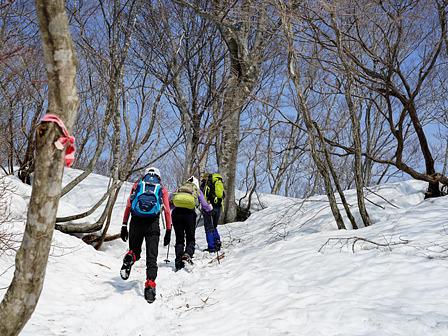 雪解けの「根開け」の赤坂山