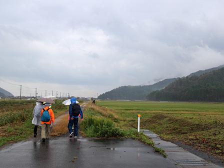 「琵琶湖の美しい漣波紋」/第13回琵琶湖一周（永原駅～マキノ駅）