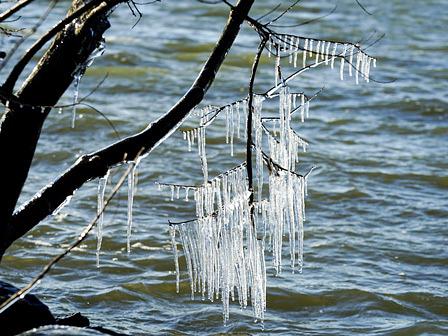 琵琶湖の氷の造形「しぶき氷」