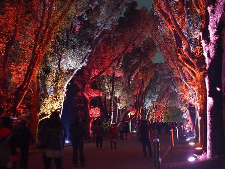 怪しげな耽美な世界/京都府立植物園「2017イルミネーション」