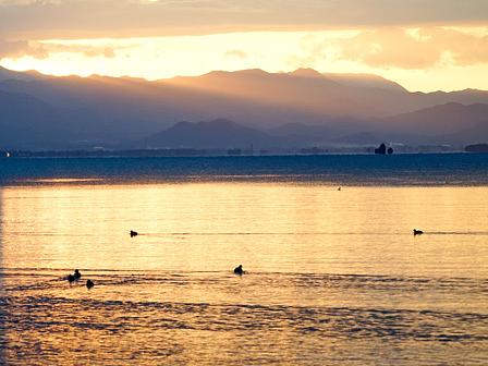 都道府県別の男性平均寿命の一位が滋賀県