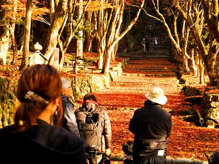 滋賀県№1人気の高い紅葉鶏足寺
