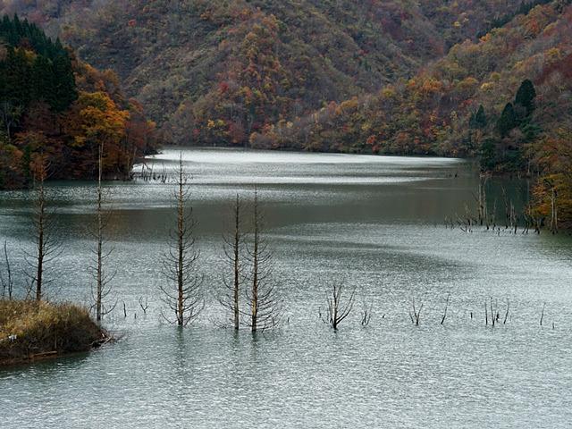 初雪の徳山ダム