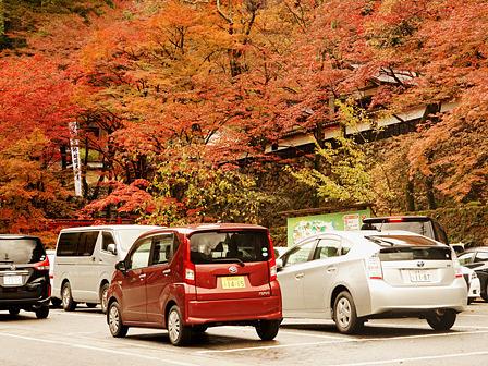 谷汲山華厳寺の紅葉
