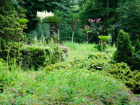ススキあれこれ
