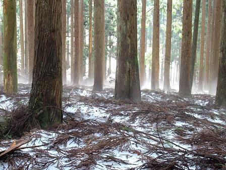 雪解けを待つ三国峠