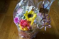 花弁が語るフィボナッチの秘密