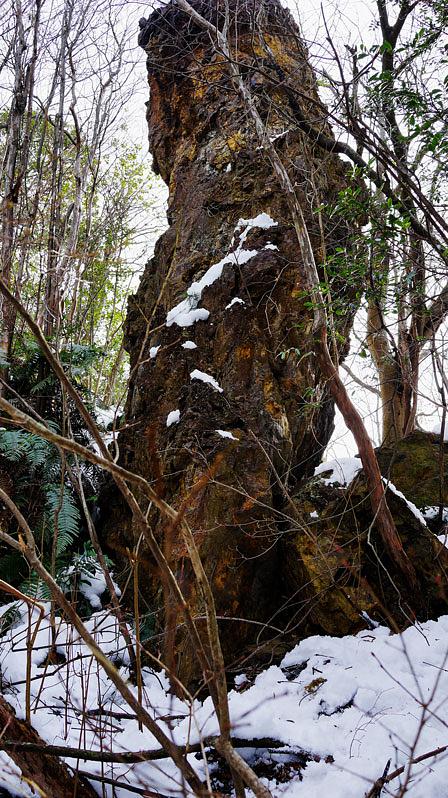 希望が丘の奇岩探し