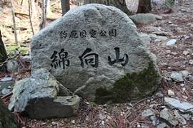 綿向山の樹氷不発