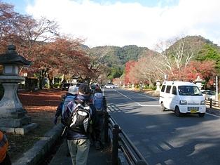 本坂を辿り大比叡